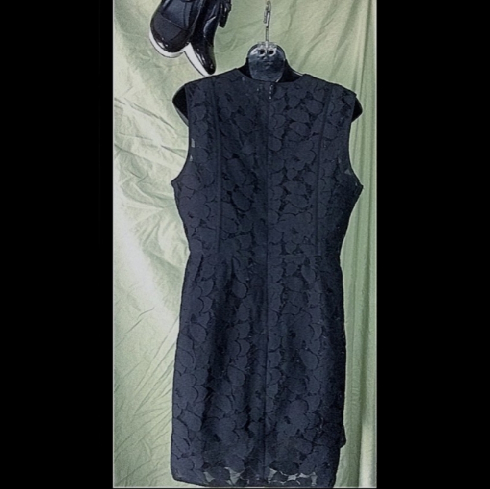πΌESLEY SLEEVELESS LACED DRESS - Picture 2 of 4